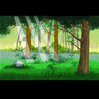 Forest Exterior